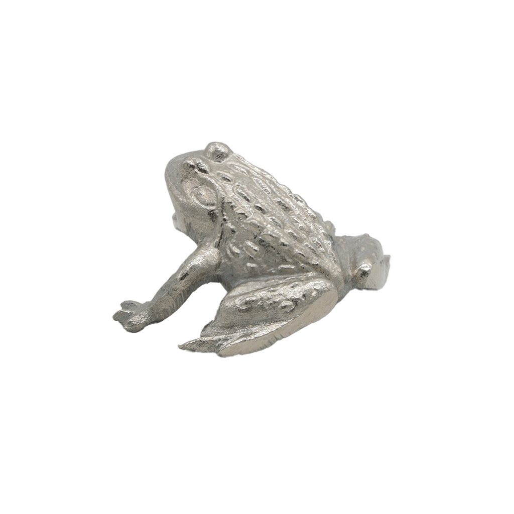 Grenouille patine nickel