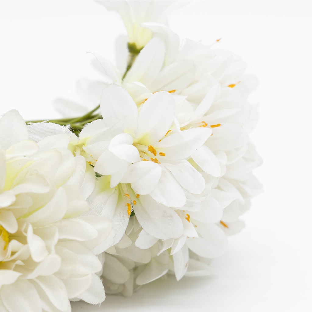 Bouquet de fleurs blanche