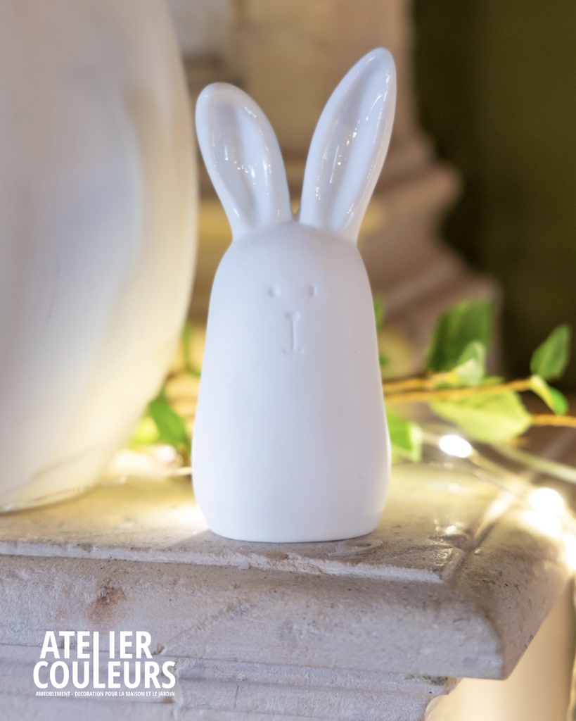 Lapin porcelaine Moyen