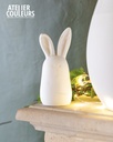 Lapin porcelaine Moyen