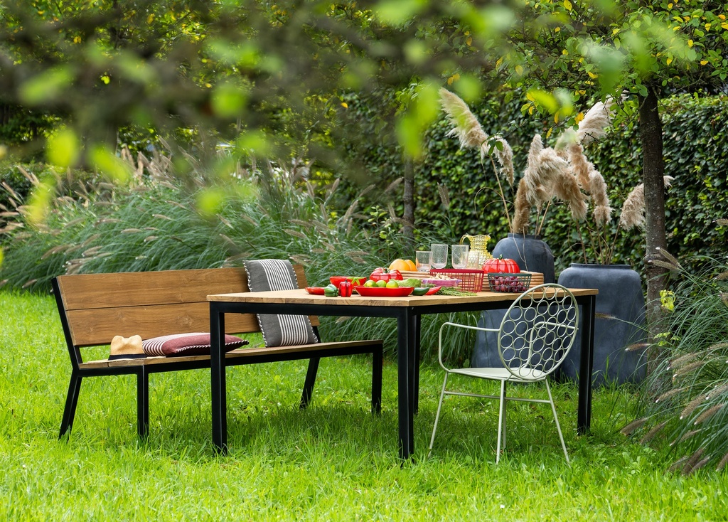 Table de jardin métal et Teck