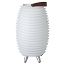 Lampe enceinte int/ext 35 white PM