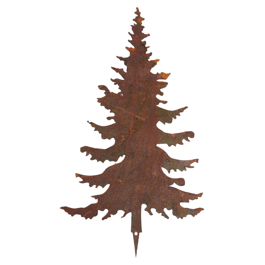 Sapin rouille T4