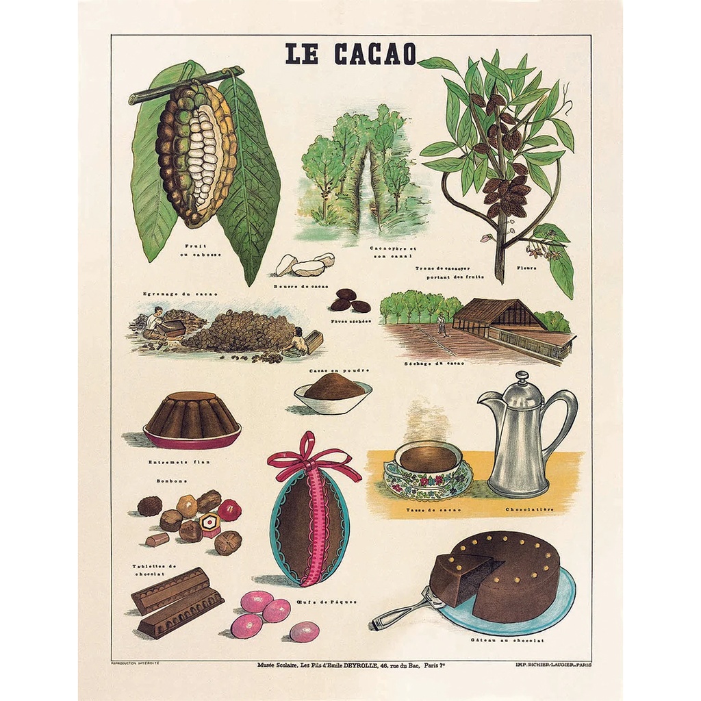 Affiche cacao