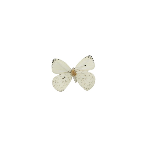 [MF000486] Papillon à pince blanc