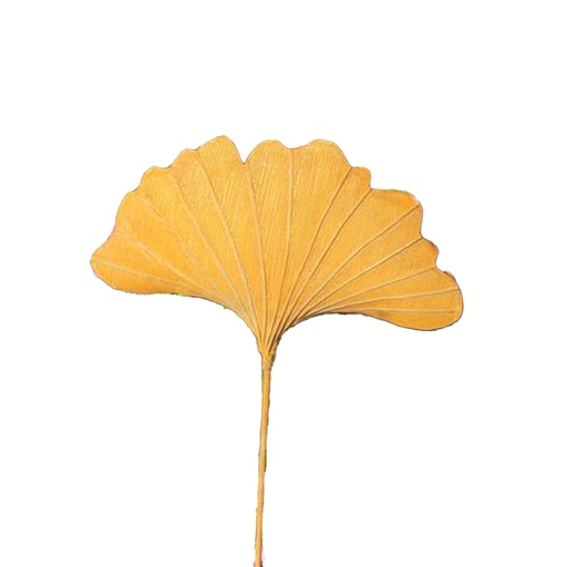 [HT000387] Tuteur fleur Ginkgo