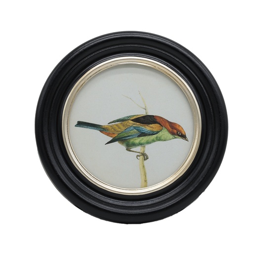 [CH002263] Cadre rond oiseau tête orange