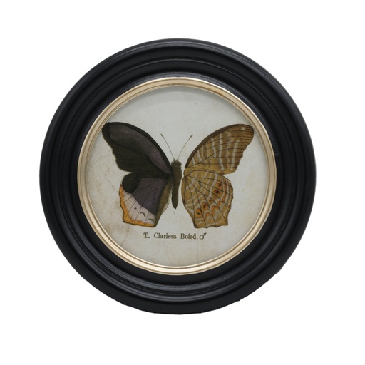 [CH002265] Cadre rond papillon Clarissa