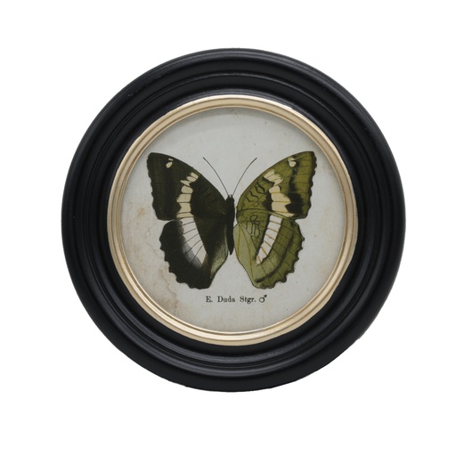 [CH002264] Cadre rond papillon Duda