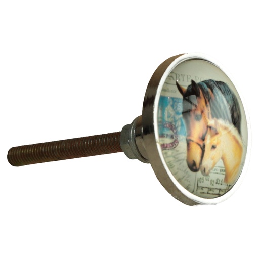 [AS000478] Bouton de porte Cheval PM